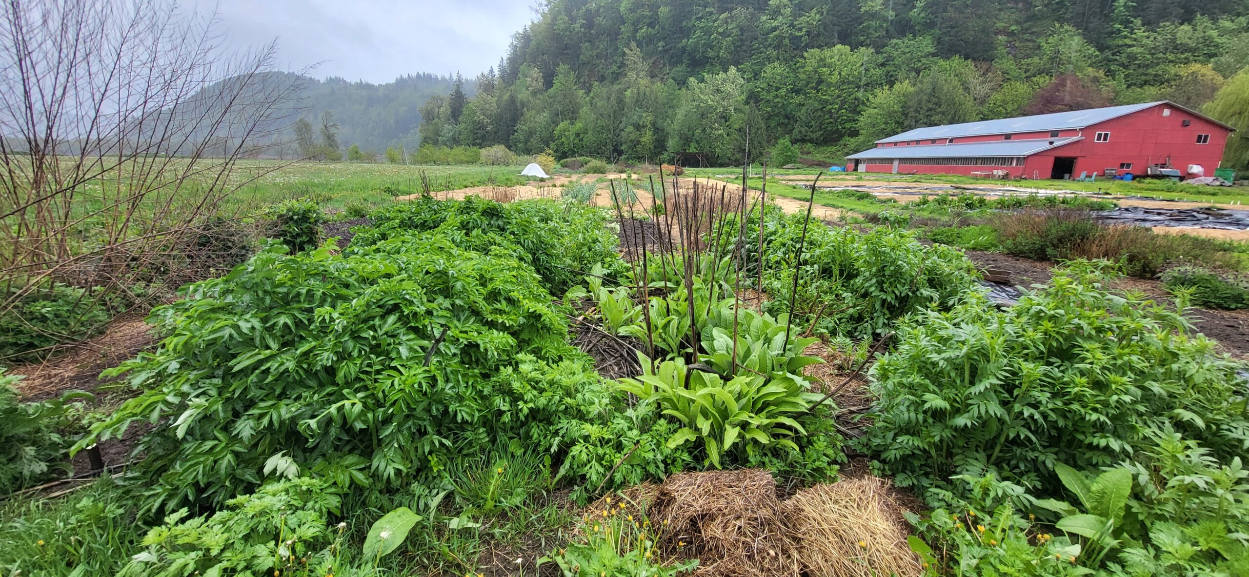 Abundance Farm BC